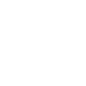 Blueberries - Icon