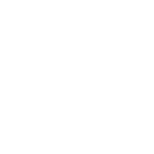 Blueberries - Icon